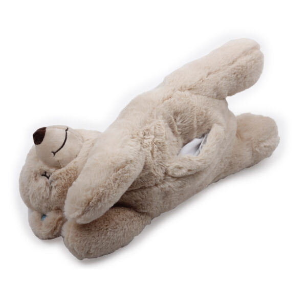 287475 AFP Little Buddy Warm Bear