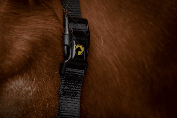 287487 Excellent Horse Essential Halster XS Mini Foal Zwart