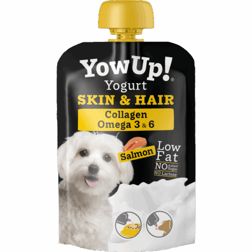 YowUp Yogurt SKIN AND HAIR DOG 115g
