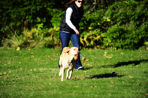 Chuckit Ultra Duo Tug S 5 cm