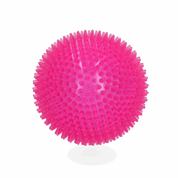 287564 Dog Comets Exoplanet Pink S