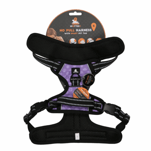 287629 Spotted! PRO Harnas Paars S