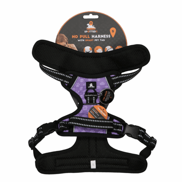 287629 Spotted! PRO Harnas Paars S