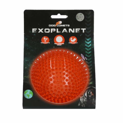 Dog Comets Exoplanet Orange L