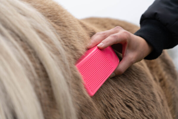 287644 Excellent Horse Grooming Brush Large zwart