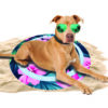 287667 CoolPets Tropical Premium Cooling Mat Flower