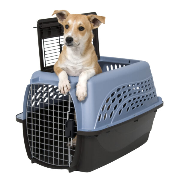 287732 Petmate 2 Door Top Load Kennel S Blue