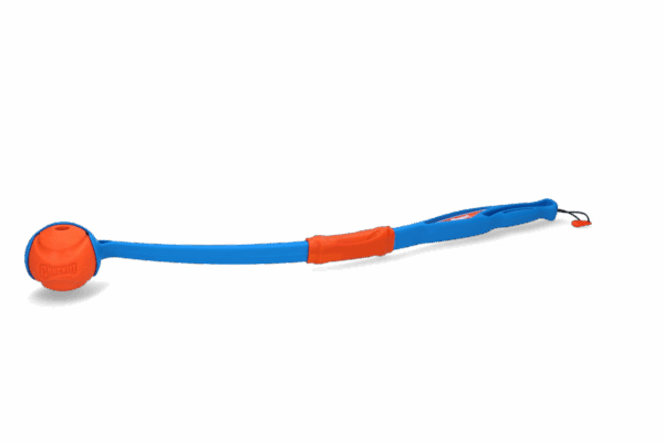 287765 Chuckit Fetch & fold launcher