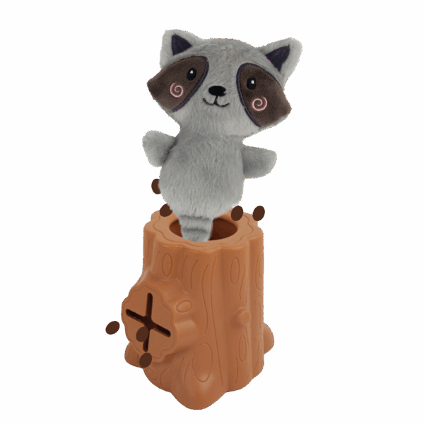 287791 AFP Treat Hider - Tree-hider squirrel