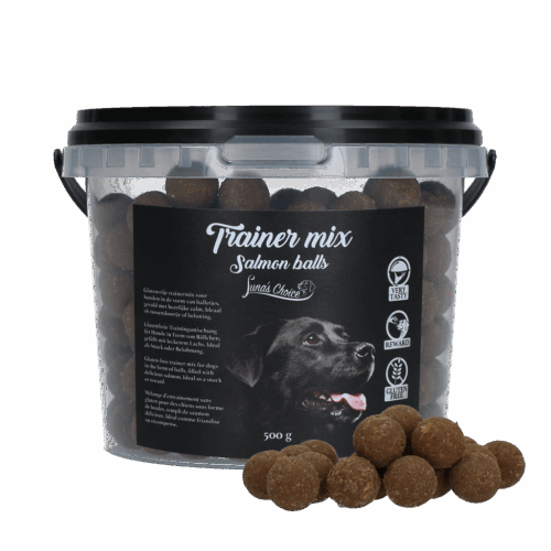 287835 Luna's Choice Trainermix Zalmballetjes (glutenvrij)
