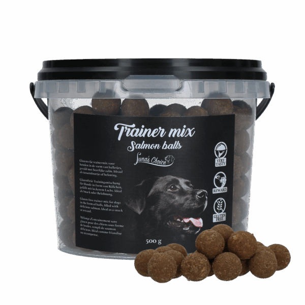 287835 Luna's Choice Trainermix Zalmballetjes (glutenvrij)
