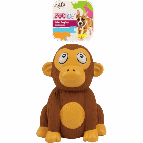 AFP Chistopher Chimp