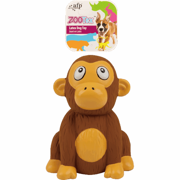 287851 AFP Chistopher Chimp