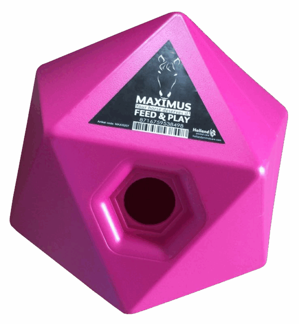 287889 Maximus Feed & Play roze