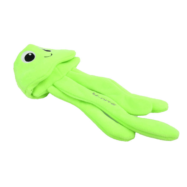 287911 AFP K-Nite - Glowing Eel