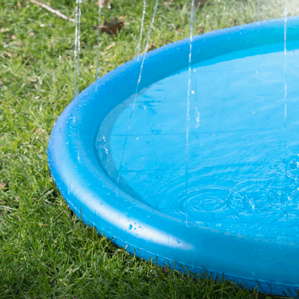 287944 CoolPets Splash Pool Sproeier
