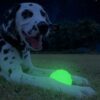 2 Glow Fetch and catch