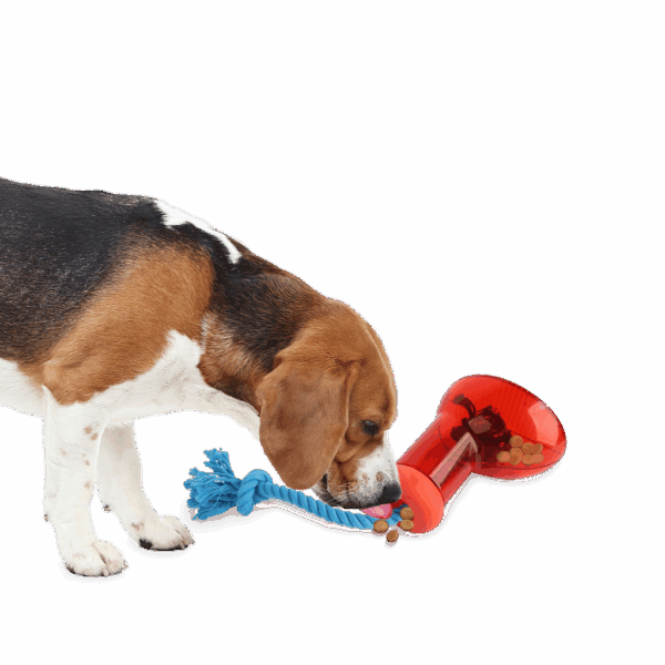 287999 AFP Doggies' Shoes - Big boot dispenser L