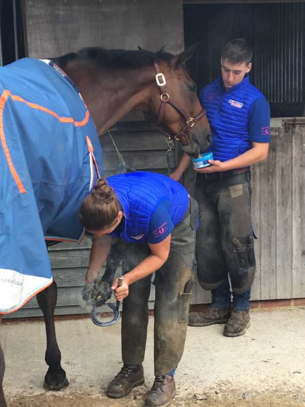 288013 Horslyx Mini Mint