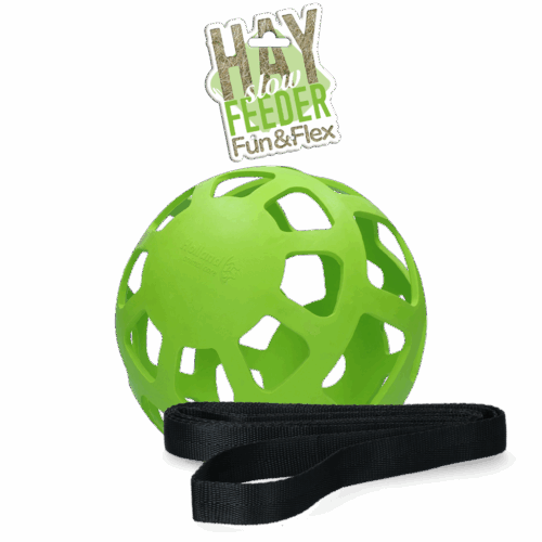 288038 Hay Slowfeeder fun and flex 22 cm Groene Bal
