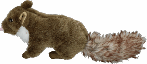 288043 Wild Life Dog Marten