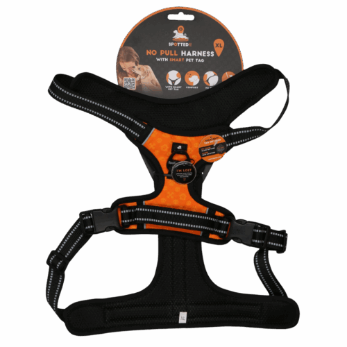 288096 Spotted! PRO Harnas Oranje XL