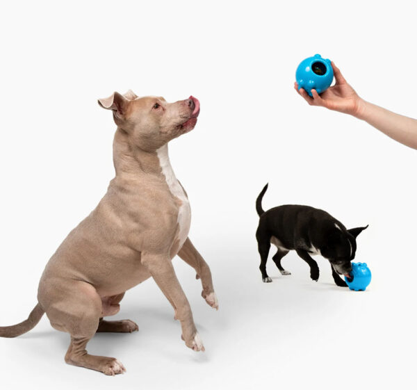 288162 Jolly Dipper 7,6 cm