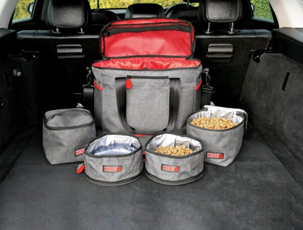 288173 KONG 5pc Travel Bag