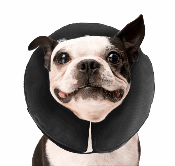 Zenpet ProCollar Hondenkraag M