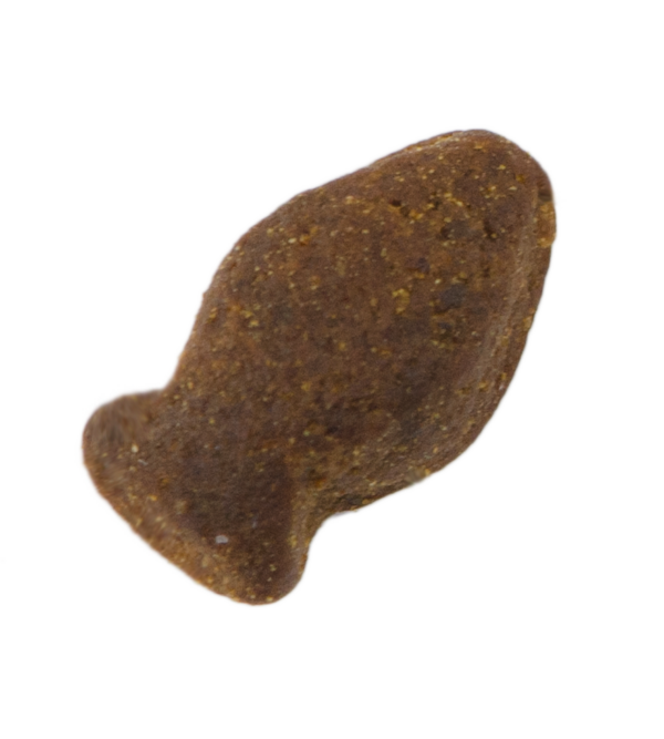 288209 Excellent Pets Fish Treat