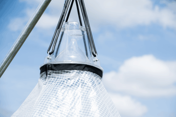 Loer Dazenval compleet