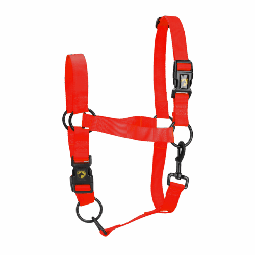 Excellent Horse Essential Halster XL Full Rood