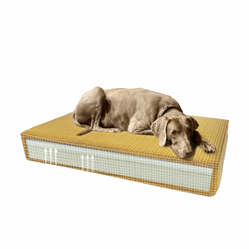 288395 Madison Orthopedisch kussen Velvet geel S