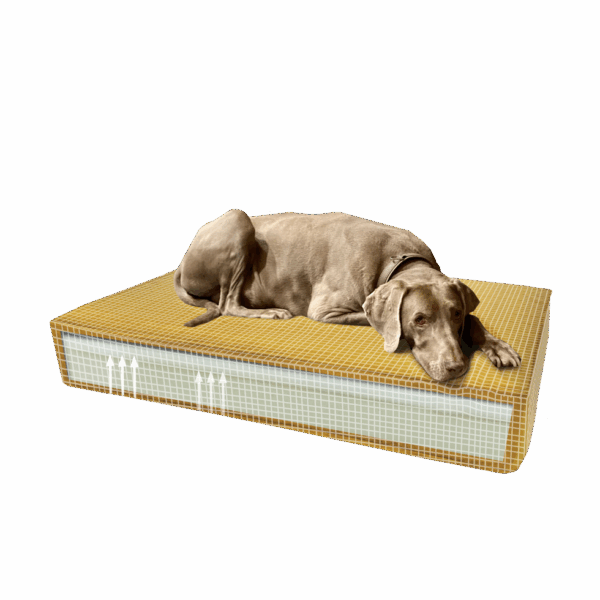 Madison Orthopedisch kussen Velvet geel S