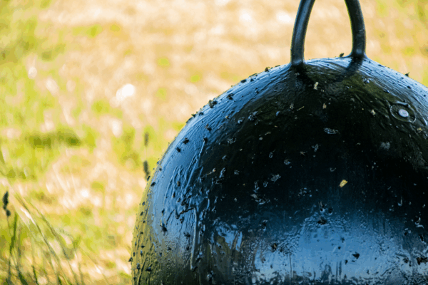 288450 Sticky Trap glue-val compleet heavy