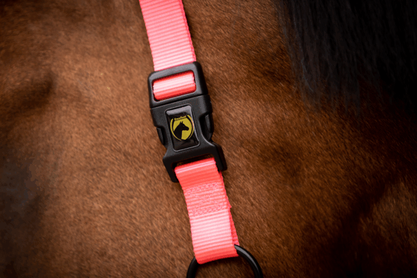 288533 Excellent Horse Premium Halster XS Mini Foal Roze