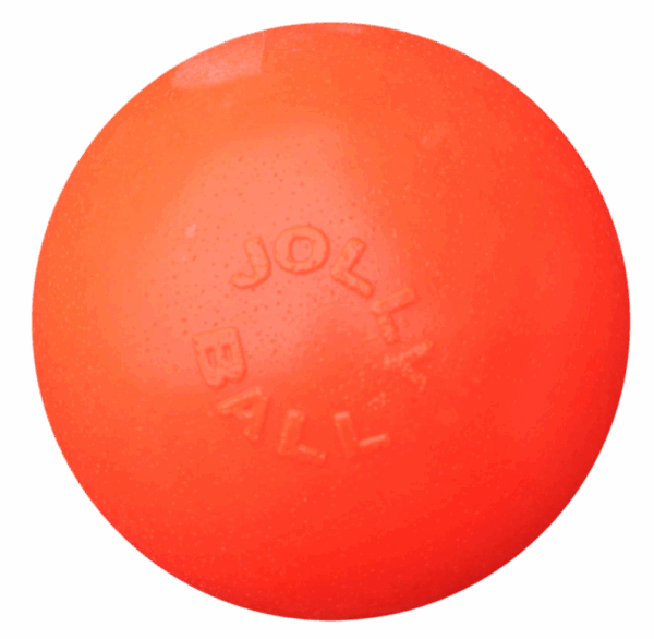 288577 Jolly Ball Bounce-n Play 15cm Oranje (Vanillegeur)