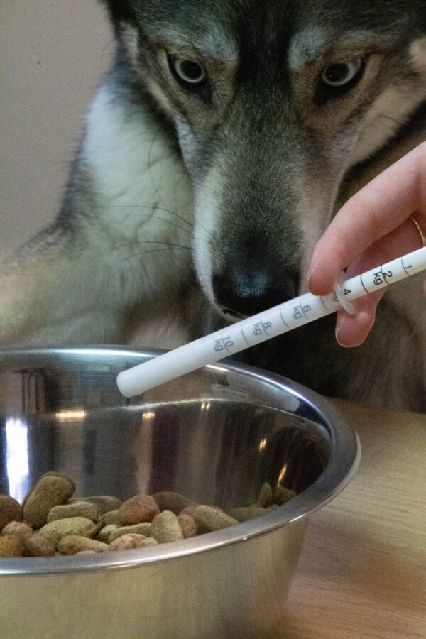 288630 Dolthene breedwerkende ontworming hond