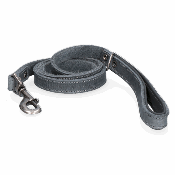 288648 Spotted! Pro Leren Hondenlijn Grijs 1,8x130cm