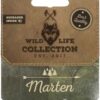 Wild Life Dog Marten