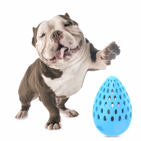 288800 AFP Meta Ball - Holey Egg indestructible M