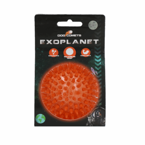 Dog Comets Exoplanet Orange M