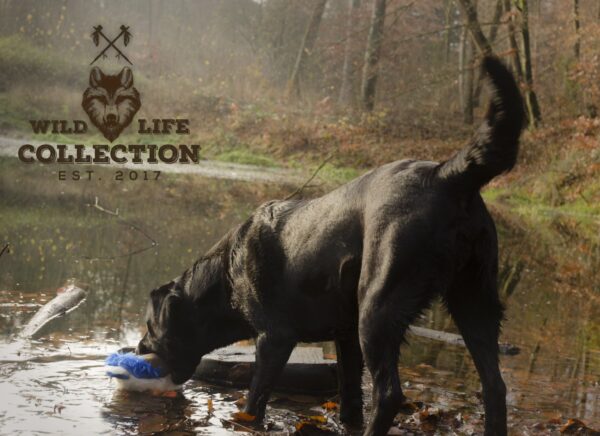 288958 Wild Life Dog Duck (Eend)