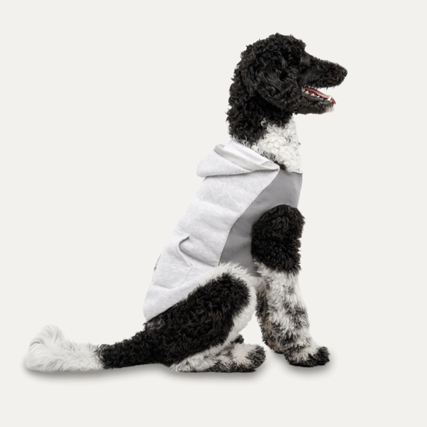 289155 Gooeez Kangaroo Fleece Hoodie 2XS Heather Grey/Grey