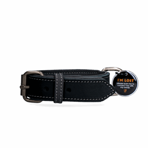 289196 Spotted! Pro Leren Halsband Zwart 2,5x40cm