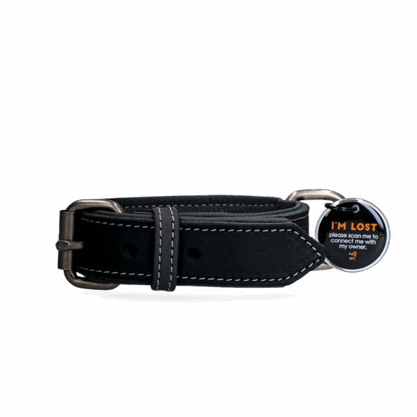 Spotted! Pro Leren Halsband Zwart 2,5x40cm