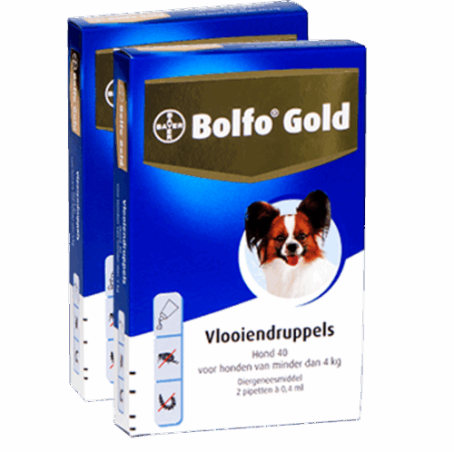 Bolfo Gold 40 hond (<4 kg) - 2 pip