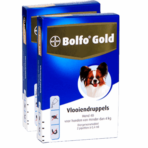 289295 Bolfo Gold 40 hond (<4 kg) - 2 pip