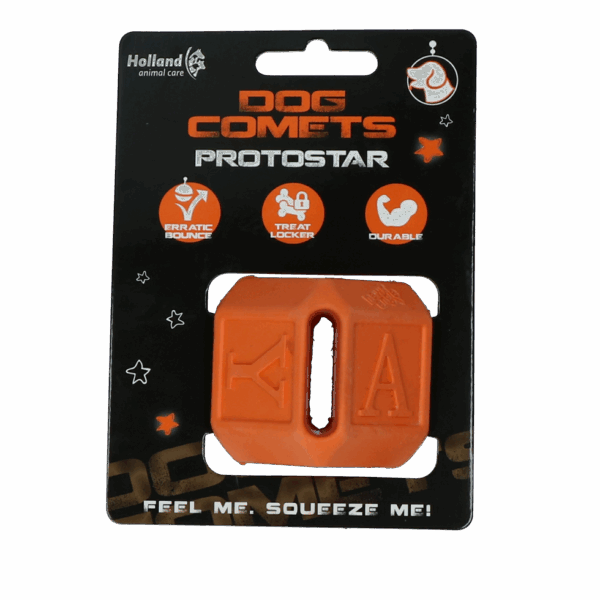 289337 Dog Comets Protostar Oranje