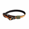 289345 AFP Off Street Dog Collar Tangerine S